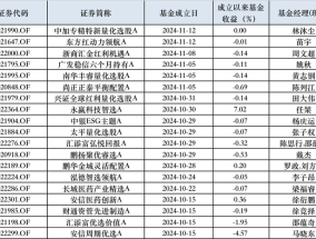 10月以来权益新发回暖，次新基金建仓时点有技巧，业绩分化明显|界面新闻